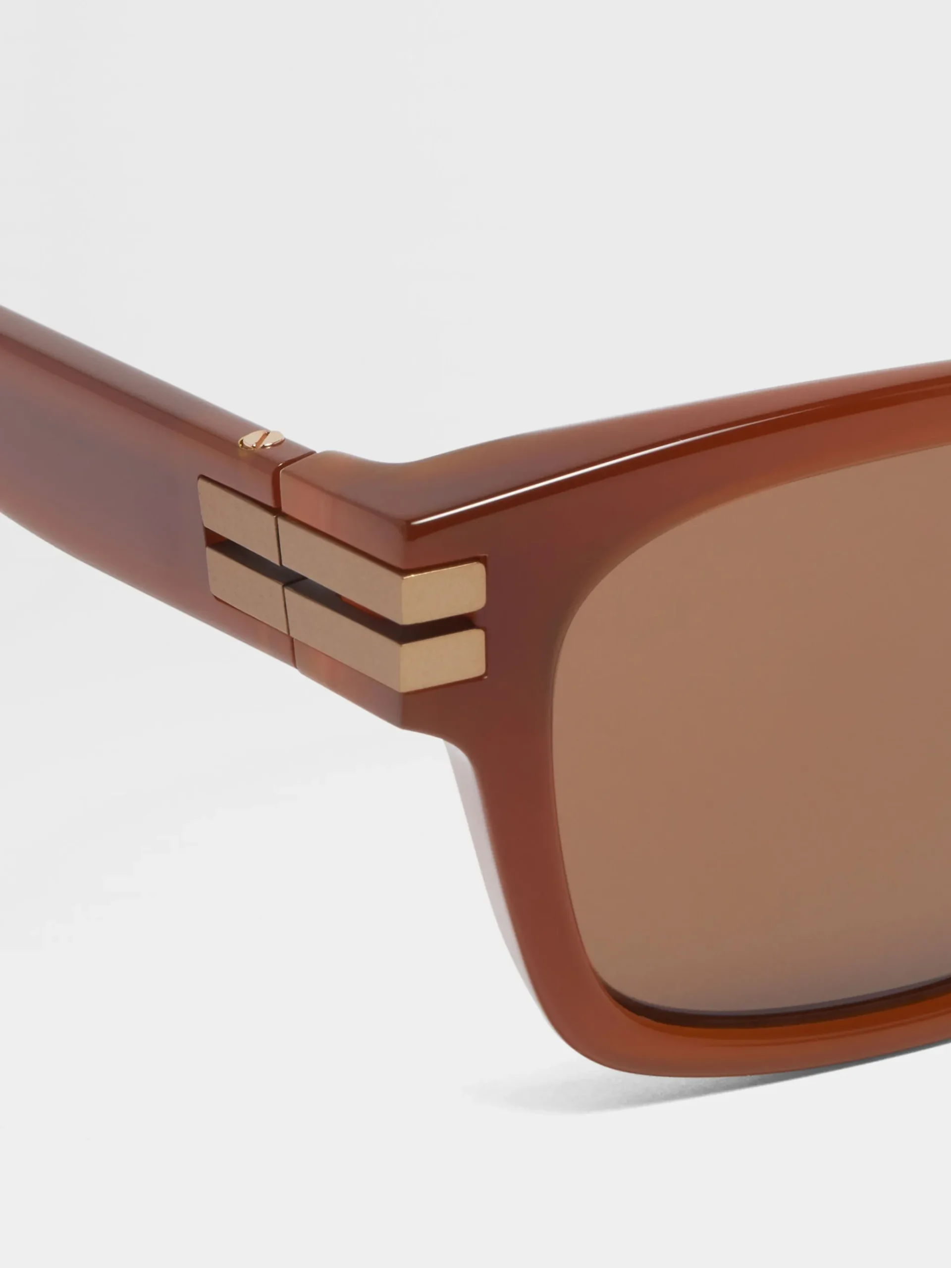 Foliage Acetate Sunglasses