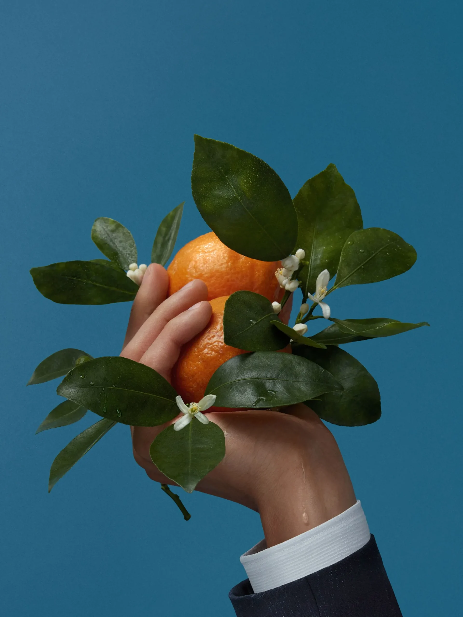 Mediterranean Neroli 100 Ml